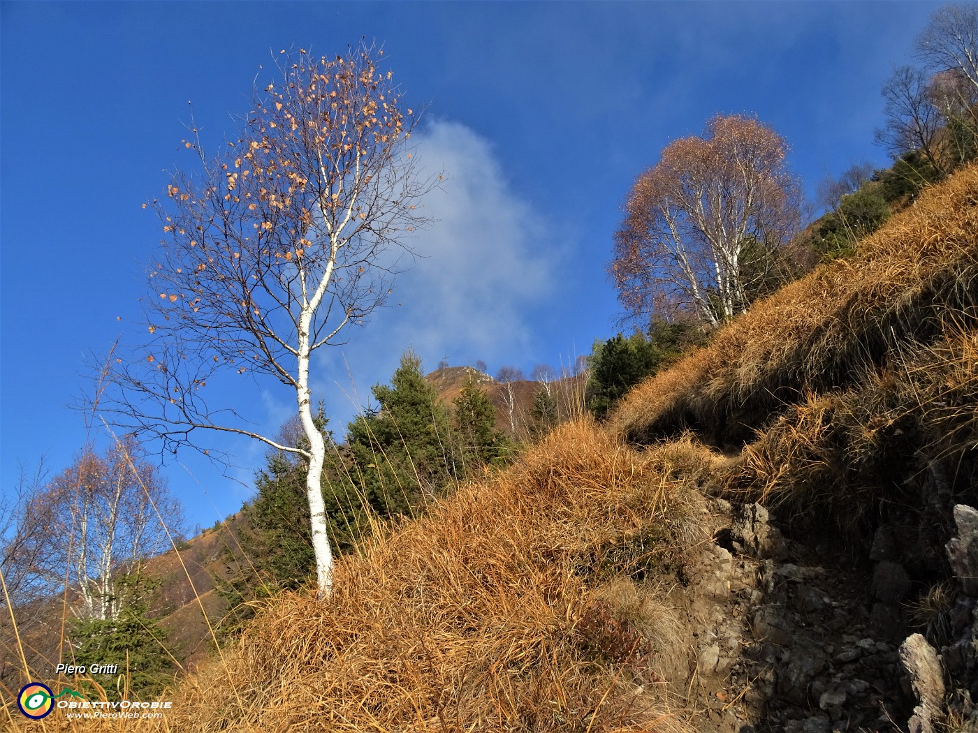 36 Vista sulla cima.JPG